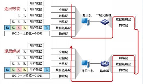 互聯(lián)網(wǎng)體系結(jié)構(gòu) 計算機網(wǎng)絡的骨干與演進